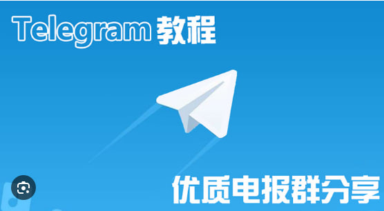 如何在Telegram中查看已加入的群组？